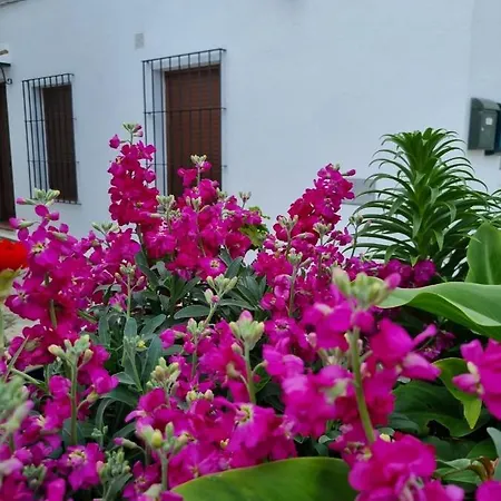Casa Francisca En El Casco Antiguo Villa Vejer de la Frontera Exterior photo