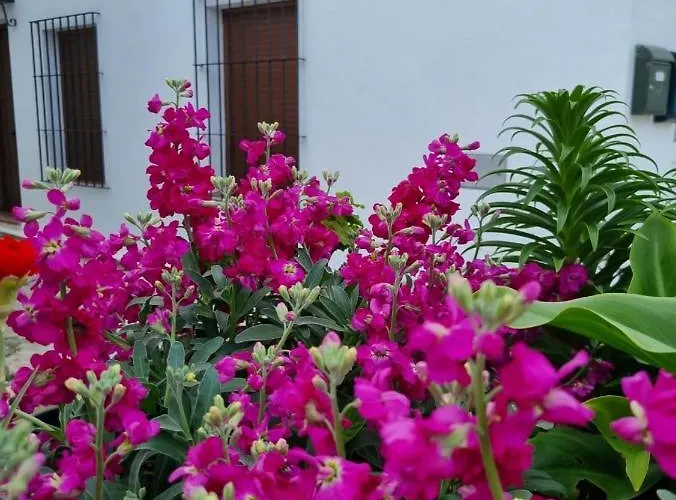 Casa Francisca En El Casco Antiguo