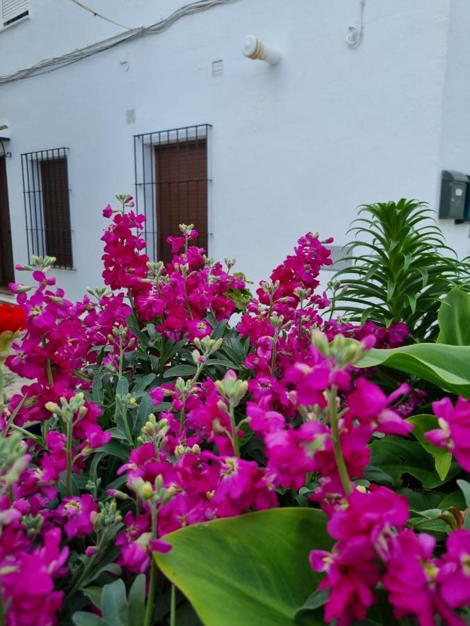 Holiday home Casa Francisca En El Casco Antiguo