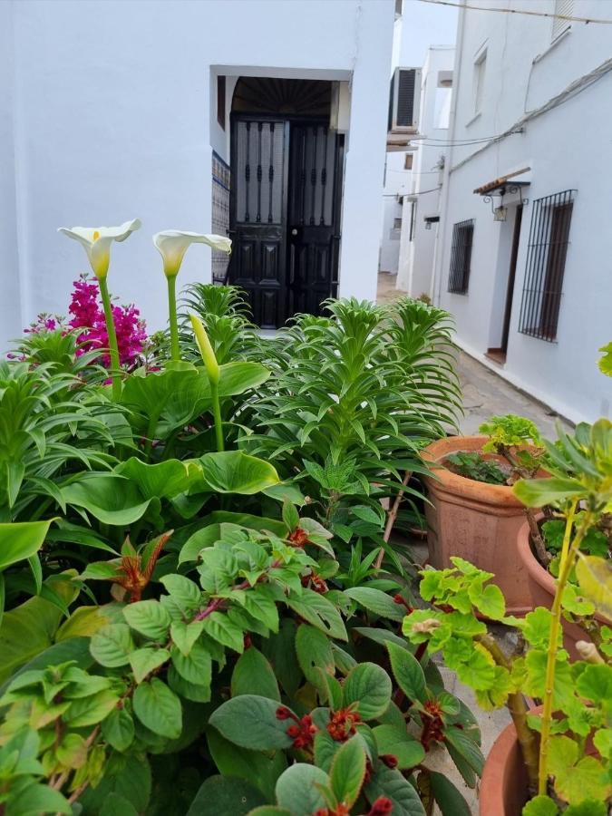 Casa Francisca En El Casco Antiguo *